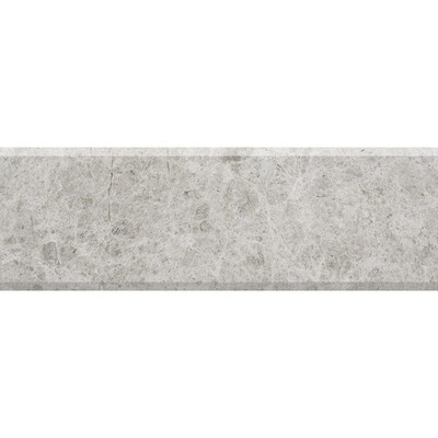 Silver Mystique Polished Threshold Marble Thresholds 4×36
