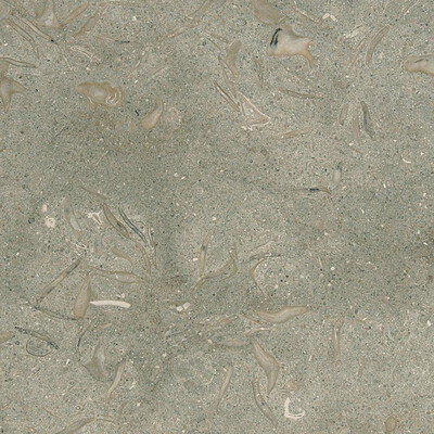 Baldosa de piedra caliza apomazada Seagrass 12x12