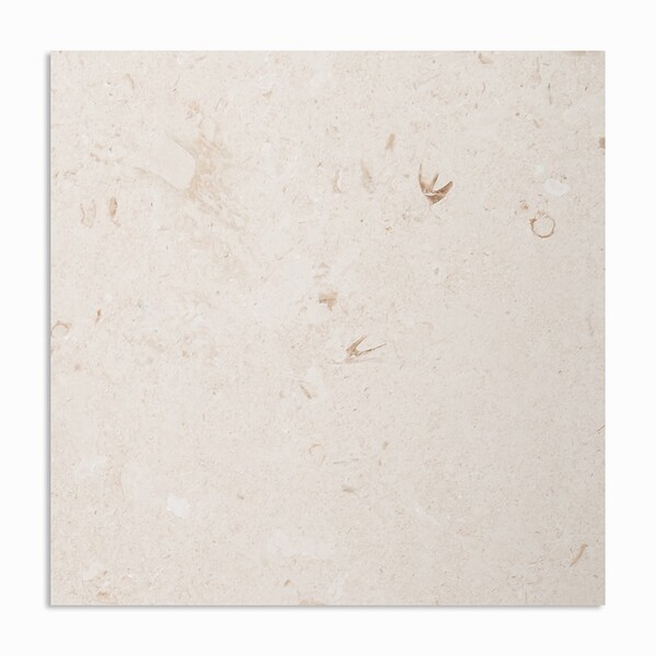 Shell Reef Tumbled Limestone Pavers 36×36