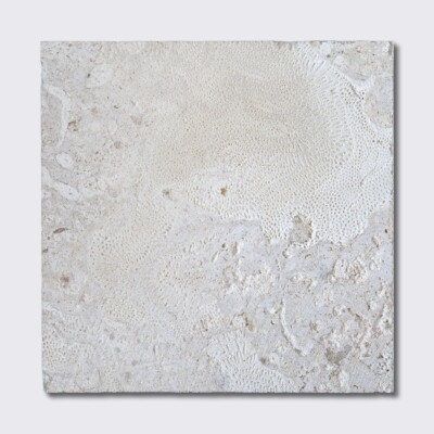 Coral Natural Tiles 18×18