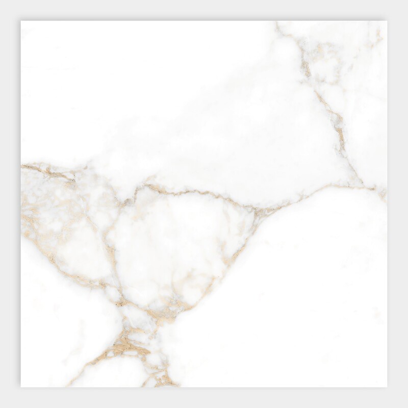 Calacatta Oro Polished Porcelain Tiles 24×24