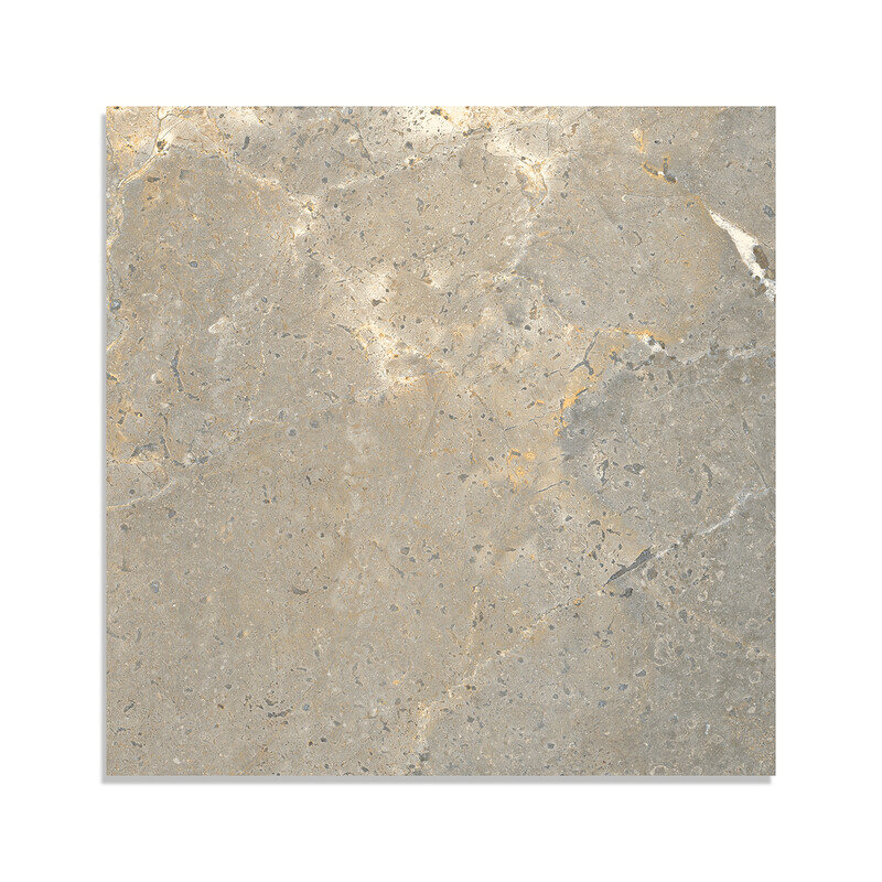 Earth Matte Porcelain Tiles 24×24