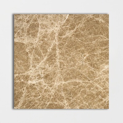 Oscuro Light Polished Marble Tile 24x24