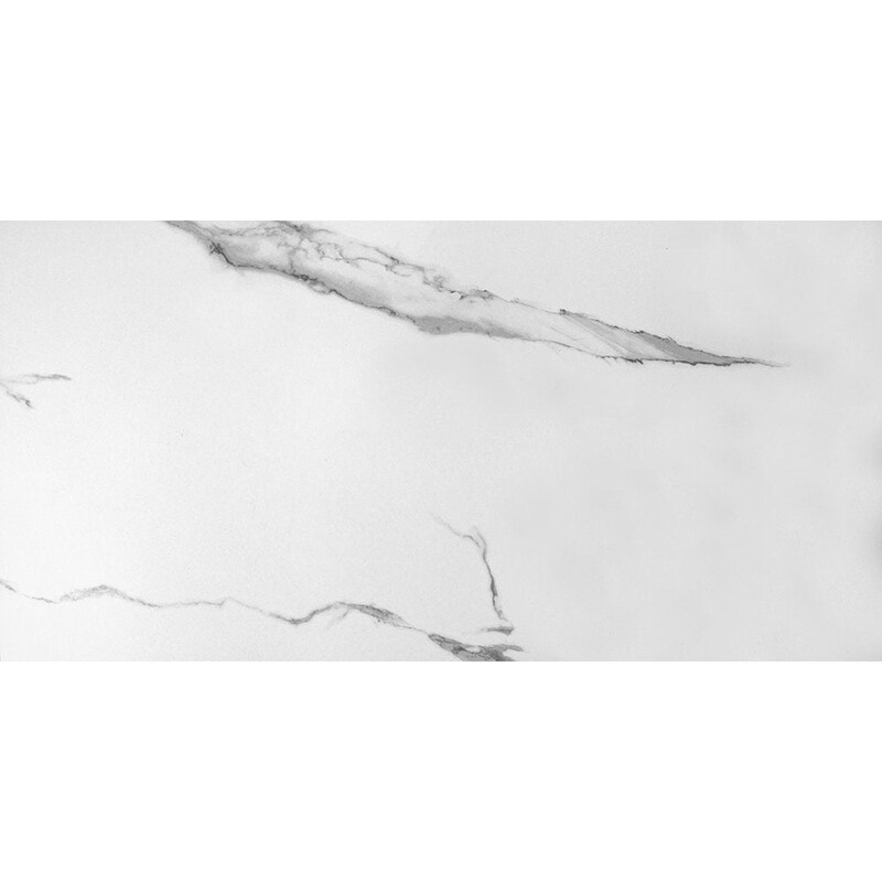 Estatuario Matte Marble Look Porcelain Tiles 24×48