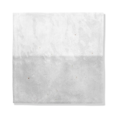 Forge Glossy Ceramic Accent Tiles 5×5