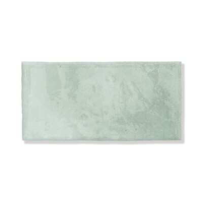 Seafare Glossy Ceramic Tiles 2 1/2×5