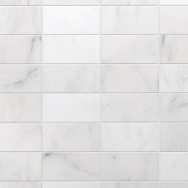 Calacatta T Honed Marble Tiles 6×12