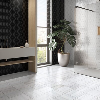 Blanco Real Glossy Longest Hexagon Ceramic Tile 3×7 7/8 (DC00117) Midnight Glossy Longest Hexagon Ceramic Tile 3×7 7/8 (DC00358) Bianco Dolomiti Honed Marble Tile 12×12 (TL17818)
