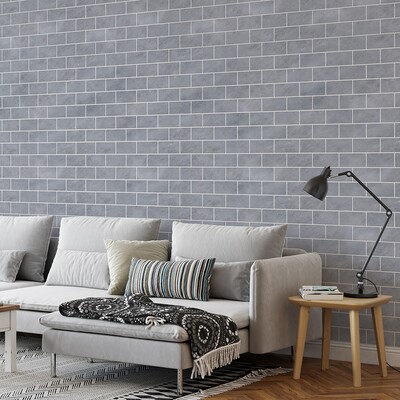 Afyon Grey Light Polished Marble Tile 2 3/4×5 1/2 (TL17010)