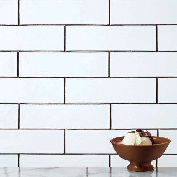 Cloud Glossy Zellige Look Terracotta Tiles 2 1/4×7 7/8